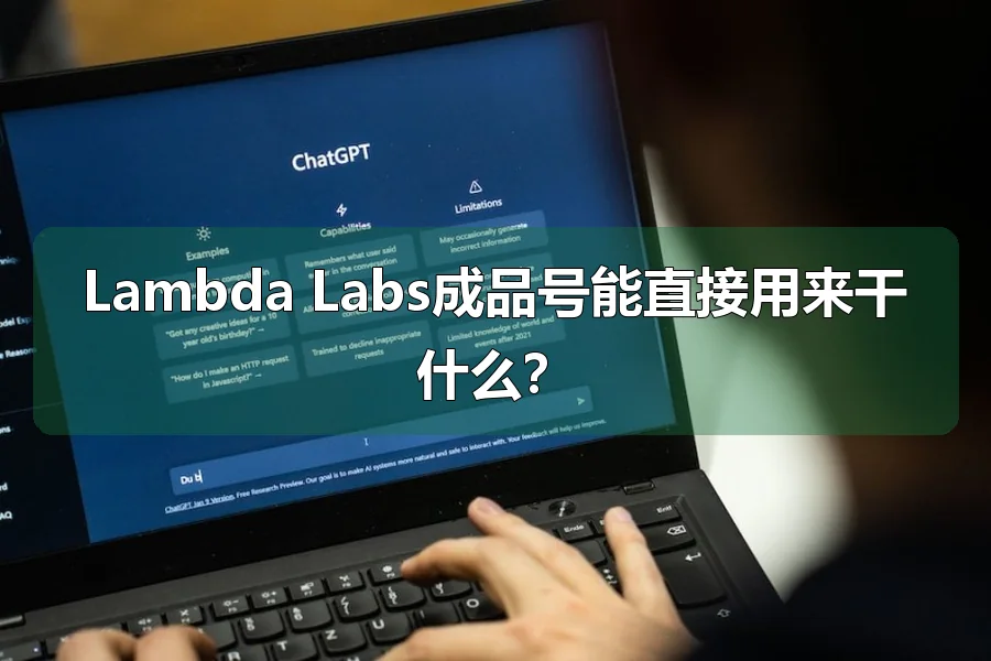 Lambda Labs成品号能直接用来干什么?